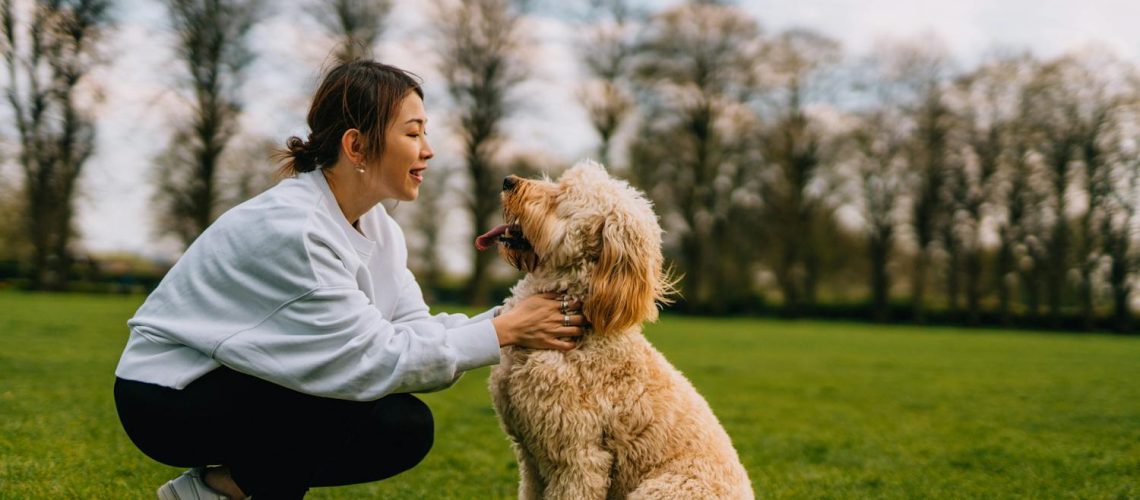 Zoophobie : nos solutions pour surmonter la peur panique des animaux